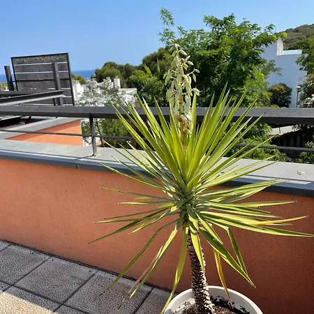 Sunny Sa Boadella Big Solarium Sea View Apartament Lloret de Mar