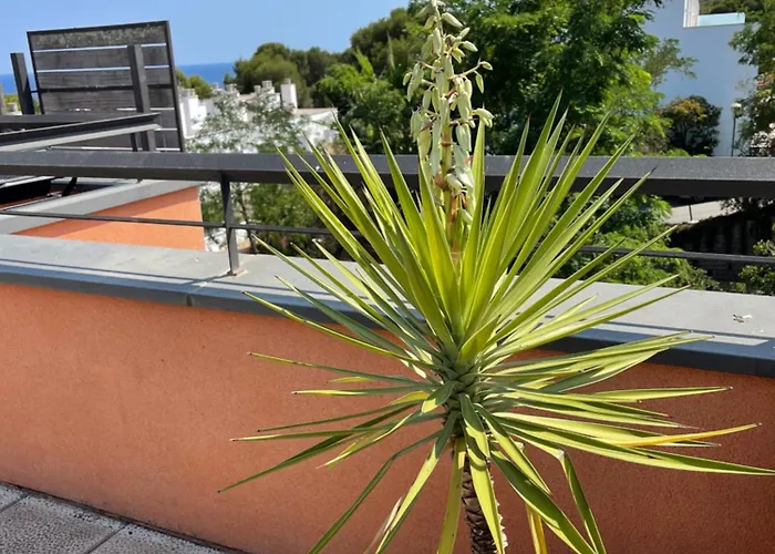 Sunny Sa Boadella Big Solarium Sea View Apartment Lloret de Mar